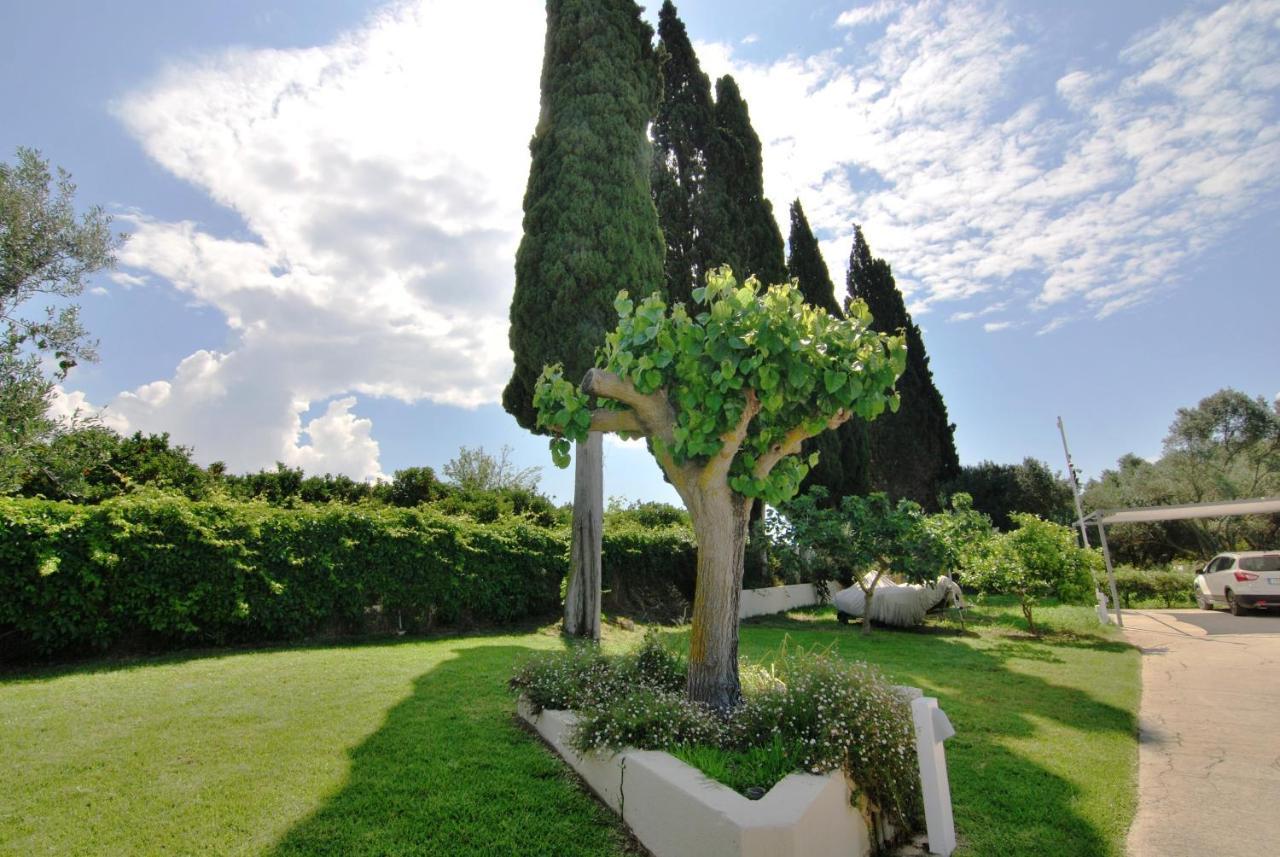 Cypress Garden בית נופש *